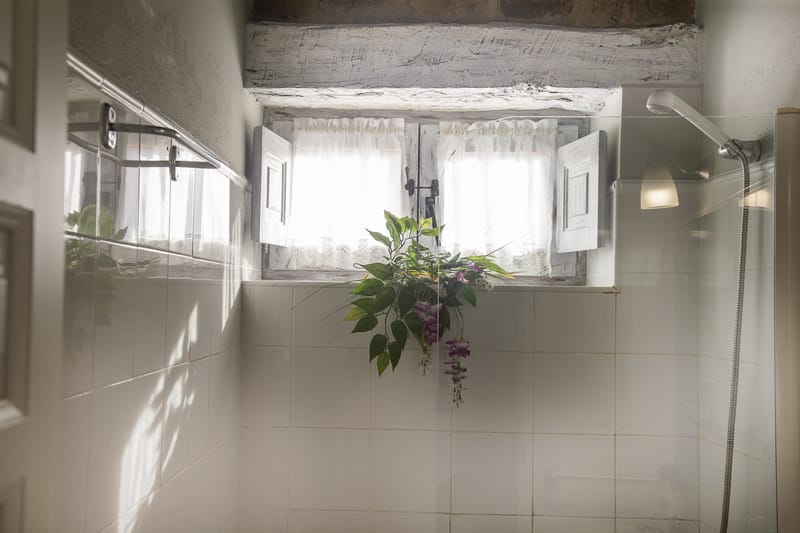 WhatsApp Image 2026-01-28 at 105342