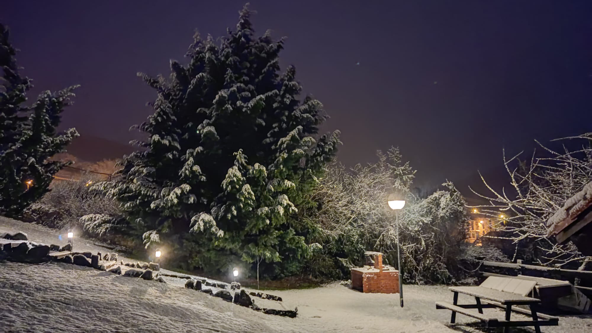 WhatsApp Image 2026-01-28 at 105620